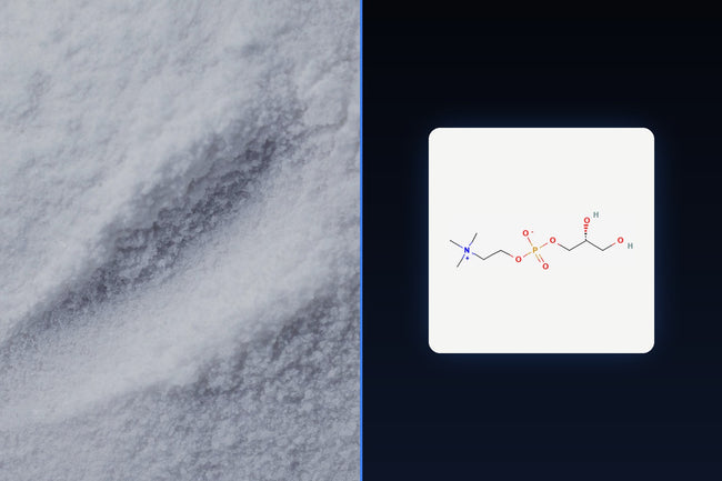 Alpha-GPC (choline alfoscerate) molecular structure beside real supplement powder | Forca Method