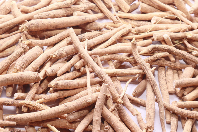 Dried Ashwagandha (Withania somnifera) roots — photo by Piyush Kothari, CC BY-SA 4.0, Wikimedia Commons