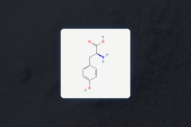 L-Tyrosine molecular structure over real powder texture