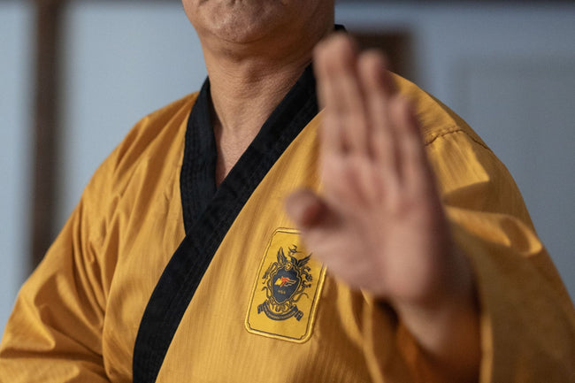 An experienced martial artist training with focus and discipline